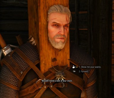 The Witcher 3