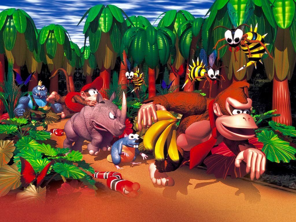 Donkey Kong Country